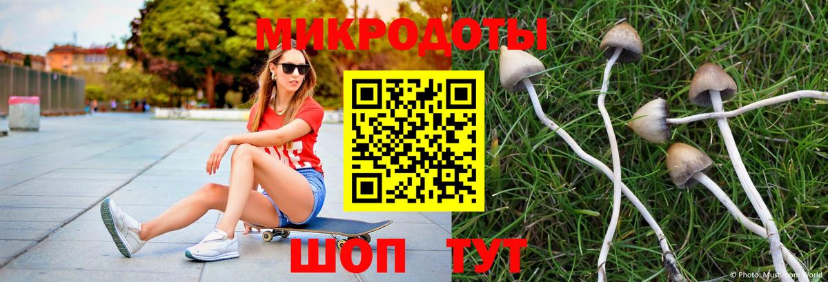 Галлюциногенные грибы Psilocybine cubensis Унеча