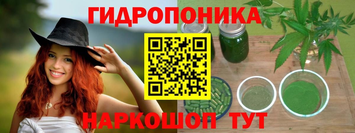 Бошки Шишки семена  Конопля Bruce Banner  Унеча  Вход с VPN  Каннабис VHQ 